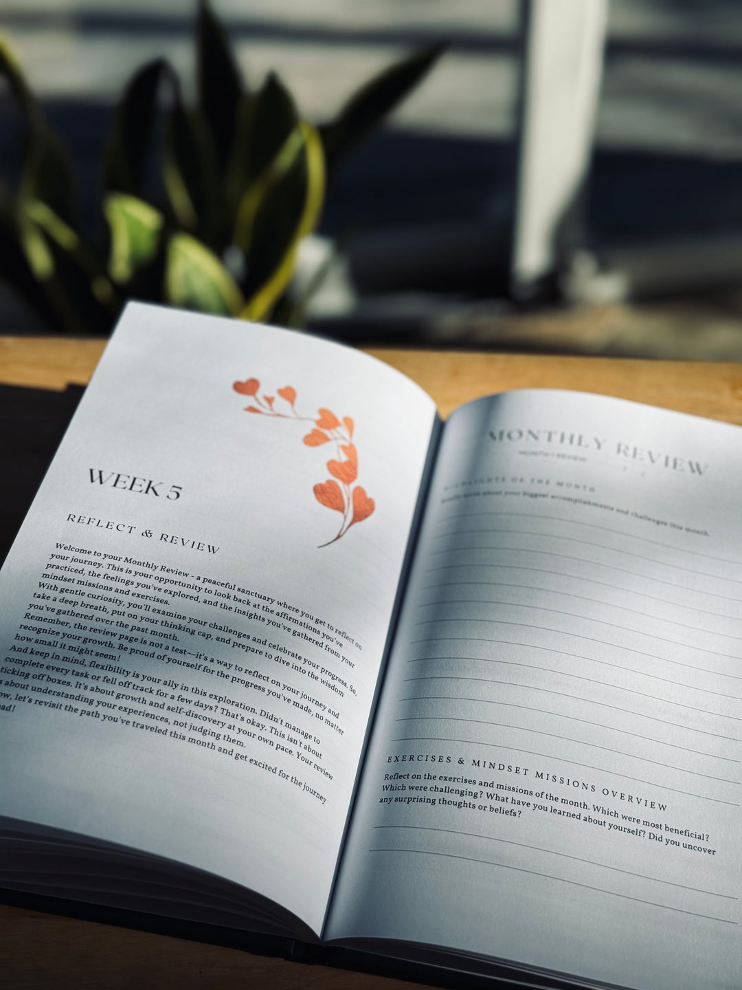 Journey Within Journal Series