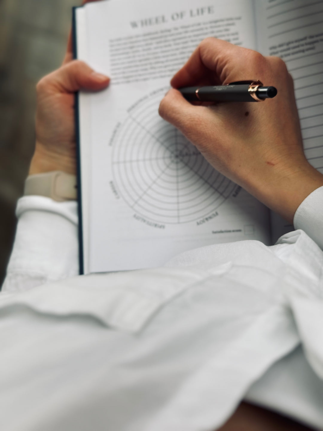 6-Month Affirmation Journey Bundle